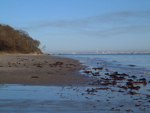 Priory Bay Beach - Low Tide
